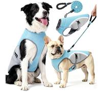 Chaleco refrigerante para Perros con Correa de 2 m, Chaleco refrescante Ligero y Transpirable con UPF 50+, Ropa Anti Calor para Perros pequeños y Grandes, Ideal para Paseos y Senderismo en Verano