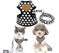 Chaleco Smalllee Lucky Store para Perro o Gato, Suave, Malla de Nailon, con Correa y arnés, Color Negro, Talla S