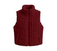 Chaleco térmico para mujer con bolsillos con cremallera, talla 16 de grosor | Chaleco de forro polar sin mangas para mujer, chaleco a rayas, elegante chaleco casual con solapa para mujer