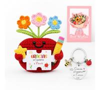 Chalyna Set de Regalos de Agradecimiento para Maestro Incluye Manzana Positiva de Ganchillo, Llavero con Frases de Gracias por Ayudarme a Crecer, Tarjeta de Felicitación para Graduación Cumpleaños