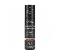 Chamaleon Foundation 004 Medium