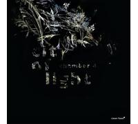 Chamber 4 - City of Light