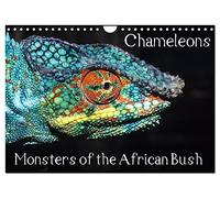 Chameleons Monsters of the African Bush (Wall Calendar 2027 DIN A4 landscape), CALVENDO 12 Month Wall Calendar: Striking Chameleon Portraits
