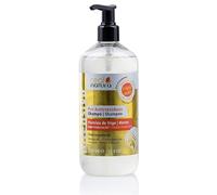 Champã” Sem Sal Pro-Antirresiduos 500Ml