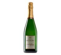 Champagne Champagne Pol Cochet Brut Nature Latitude 48 01