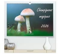 Champignons magiques (Calendrier mural 2026 DIN A2 vertical) calendrier de bureau: Un calendrier fascinant qui met en lumière, mois après mois, la diversité et la beauté mystérieuse des champignons.