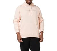 Champion American Classics Fall Fleece Big Logo Sudadera con Capucha, Rosa (Old Rose), S para Hombre