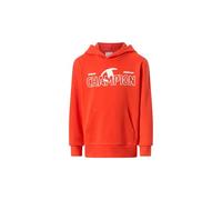 Champion Boy-Graphic Hoodie Sudadera con Capucha para Niños