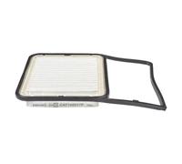 Champion CAF1 00917p Motor Salas