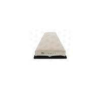 Champion CAF100651P Compartimentos de Motor