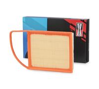 CHAMPION CAF100916P Filtro de aire para OPEL Crossland X (P17, P2QO)