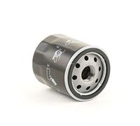 Champion COF100138S Bloque de Motor