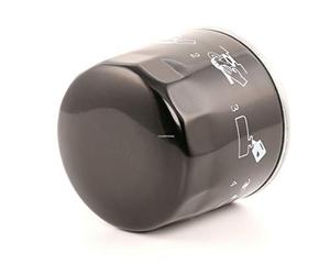 Champion COF102137S Bloque de Motor