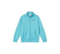 Champion Legacy Boys, Sudadera gráfica con Cremallera Completa, XL, Azul Claro, Azul Claro, XL