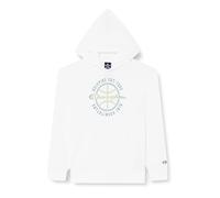 Champion Legacy Modern Basket B-Spring Terry Sudadera con Capucha para niños y Adolescentes, Gris Luminoso (ral 7035), 9-10 Años