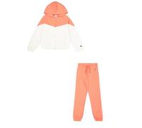 Champion Legacy Script Shop G (405046) -Ultra-Light Soft Compact Powerblend Fleece Color Block Hooded Chandal Bebe, Rosa (PS004), 5-6 años para Niñas