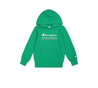 Champion Sudadera con Capucha y Estampado gráfico para niño, Verde (Gs130), 15-16 años