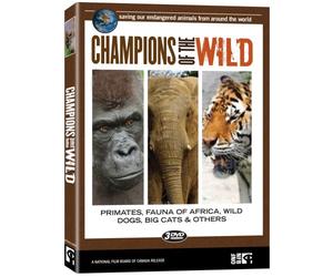 Champions of the Wild: Primates / Fauna of Africa / Wild Dogs, Big Cats & Others