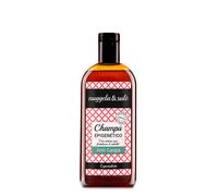 Nuggela & Sulé Nuggela and Sule Champú Epigenético Anticaspa, 250 ml