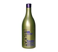 Champú ecualizador Bes, silkat PHC Day by Day D1 1000 ml