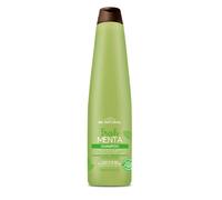 Champú Fresh Menta 350 ml Be Natural