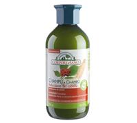 Champu Ginseng Eleuterococo Y Ginkgo