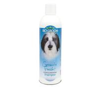 ChampÚ groom'n fresh, para perros, limpieza intensa, ideal para ejemp