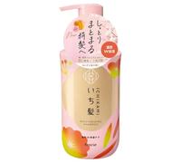 Champú hidratante Kracie Ichikami 450 ml, hidratación profunda, cuidado botánico japonés para cabello seco y encrespado y acabado suave, fabricado en Japón