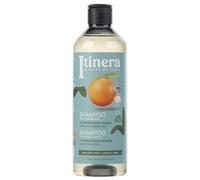 Champú para el cabello, con un 95% de ingredientes naturales, 370 ml (NATURAL, 3szt)