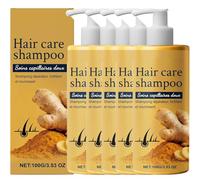 Champú para el cuidado del cabello de jengibre, champú de jengibre para adelgazar el cabello, mejora las puntas abiertas y fortalece los mechones, da volumen al cabello fino. (5 unidades)