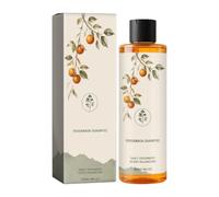Champú Para Hombres Limpiador Vegetal Refrescante Clarificante Nutritivo y