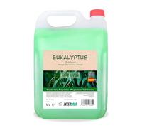 Champú Profesional Eucalipto 5L • Limpieza Refrescante para Todo Tipo de Cabello • Fórmula Equilibrada de Uso Frecuente • Aroma Natural, Suavidad y Brillo en Formato Económico - Intercabo