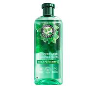 Champú Purificante Menta