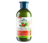 Champú Reforzante Ginseng y Ginkgo Bio Vegan 300ml Cabello Débil y Dañado Fortalece y Revitaliza Antioxidante Estimula el Crecimiento Sin colorantes Sin siliconas Cruelty free Orgánico