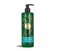 Champú Reparador Cabellos Teñidos