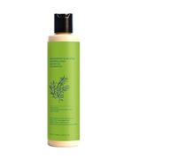Champú Revitalizante Para El Cuero Cabelludo Control del Frizz 100 ml