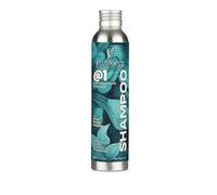 Champú Seboequilibrante Natural para Perros de Pelo Corto - FLUIDOPET - con Ortiga y Menta