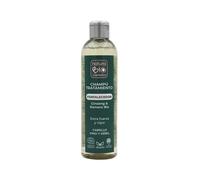 Champú Tratamiento Fortalecedor Ginseng y Romero Bio 250ml Natura Bio