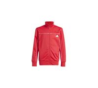 Chándal adidas cp training infantil rojo / blanco 13 - 14 AÑOS