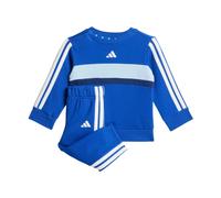Chandal azul Adidas azul baby