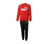 Chándal marca Puma modelo No.1 Logo Sweat Suit FL B