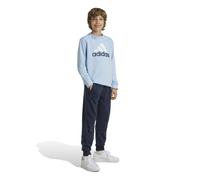 Chándal para niños adidas Essentials Big Logo 13/14