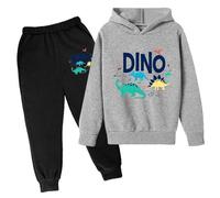 Chándal para niños Chándal Niños Deportes Invierno Niños Sudadera con Capucha Conjunto Popular Impreso con Capucha Conjunto en Ropa Interior Casual Disfraz Niño Ropa Deportiva Tracksuit Verano