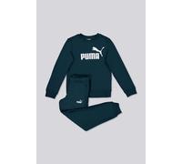 Chándal Puma - Verde - Chándal Niño talla 10
