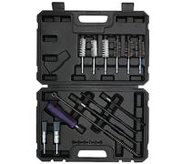 CHANG QI 19 piezas de limpiador de asiento de inyector, kit de limpieza de inyectores de eje, boquillas de inyección con cepillos de limpieza de alambre de acero y cepillos de nailon