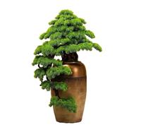 changgengyi árbol bonsái, Decoración de Villa Hotel pie en Maceta Pino(Brown,S)