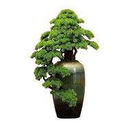 changgengyi árbol bonsái, Decoración de Villa Hotel pie en Maceta Pino(Green,S)