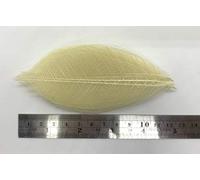 ChangThai Design 50 Hojas de Esqueleto marr?n ?rbol del Caucho Natural Scrapbooking Arte DIY Tarjetas Boda