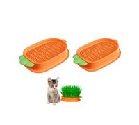 Changyeah - Kit de cultivo de hierba para gatos (2 macetas de crecimiento, caja de plástico, bandeja de brotes hidropónica, para gatos y animales de compañía (naranja)