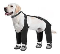 CHANGYUE Botas Impermeables para Perros, Protectores Ajustables para Patas, Zapatos Antideslizantes y Reflectantes para Perros y Gatos (L)